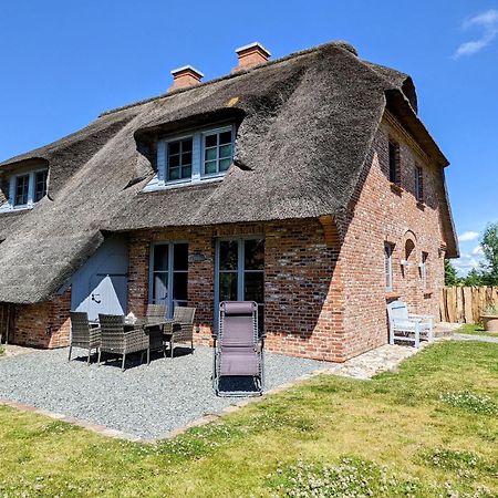 Kleine Lachmoewe Sankt Peter-Ording Exteriér fotografie